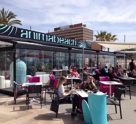 Pere Antoni Apartment Palma de Mallorca